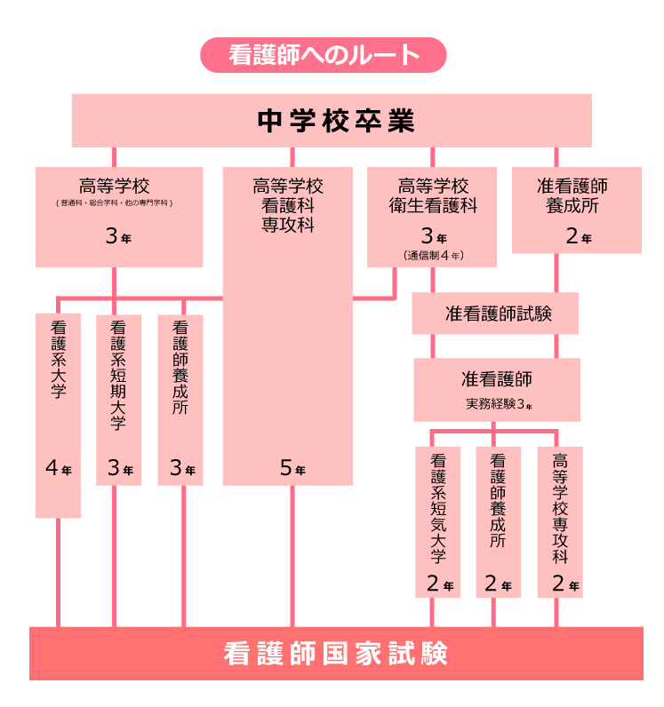 看護師へのルート